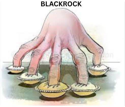 25 0713 03 blackrock fingers in pies